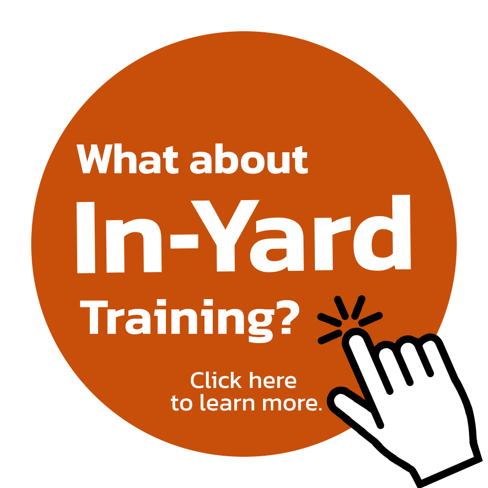 What about In-Yard