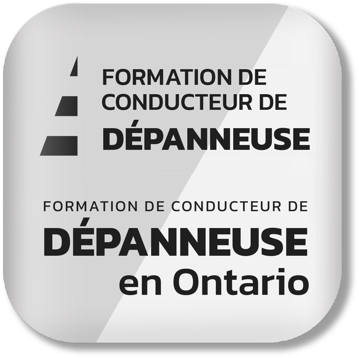 TTDT COURSE BUTTON-FRENCH1